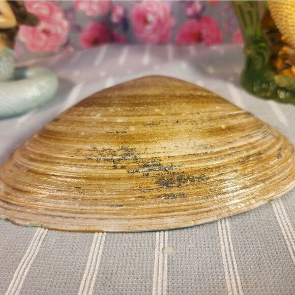 DECOUPAGE CLAM SHELL DECOUPAGE FLOWERS TRINKET DISH - Picture 7 of 8